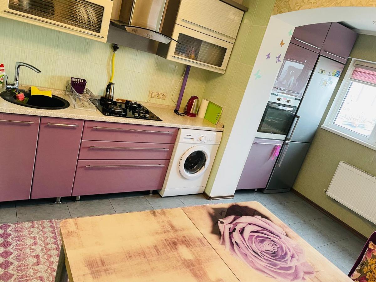 Svetlana Apartment تشيسيناو المظهر الخارجي الصورة