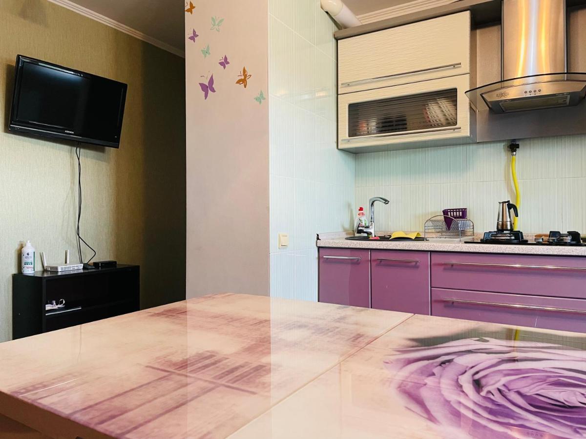 Svetlana Apartment تشيسيناو المظهر الخارجي الصورة